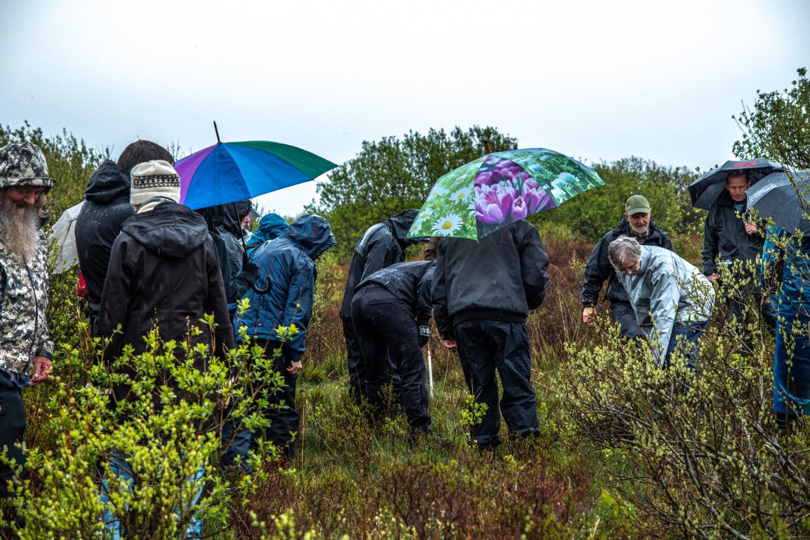 Regnfuld og hyggelig naturvandring ved Hostrup Hovedgård