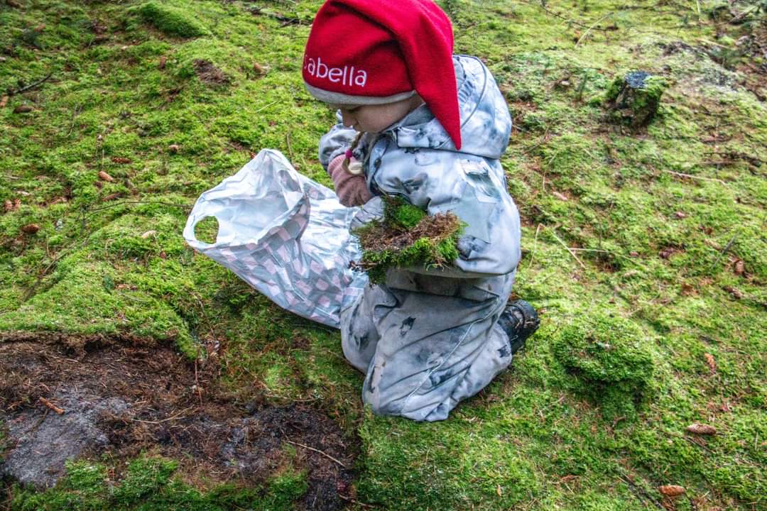 Julenaturtur i Rettrup-Hvidbjerg Plantage