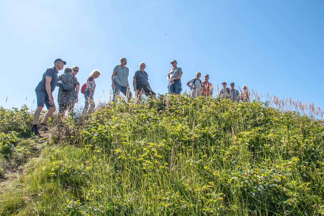Guidet naturvandring ved Vendal Høje