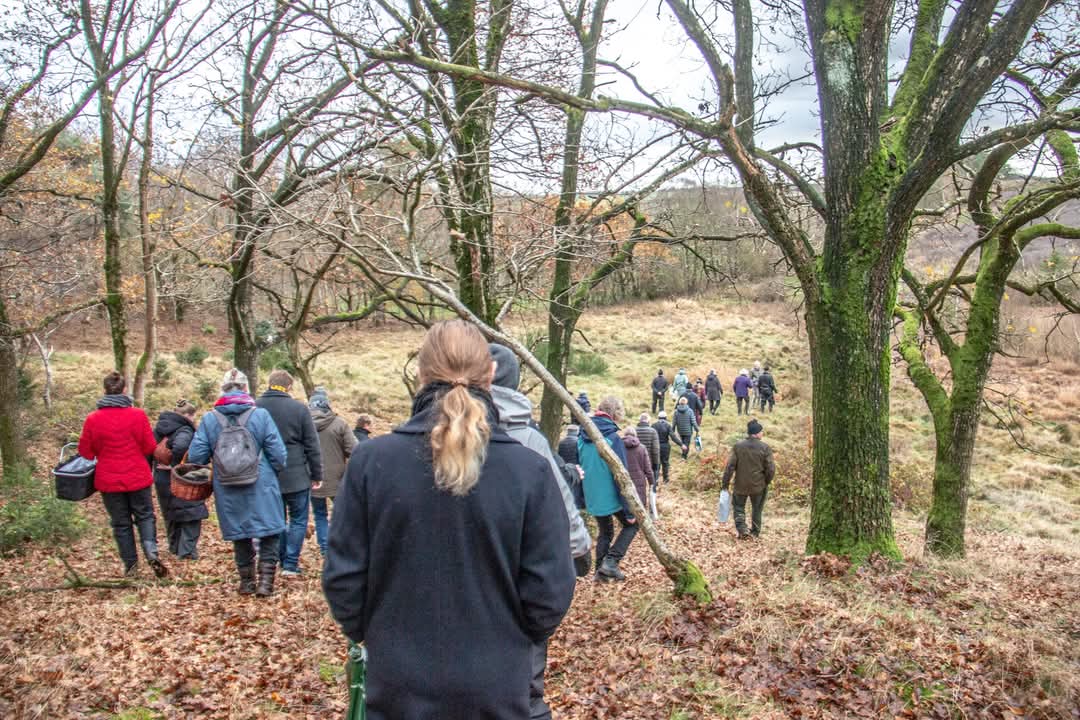 Vellykket julenaturvandring i Dorthe og Jørgen Dalsgårds plantage