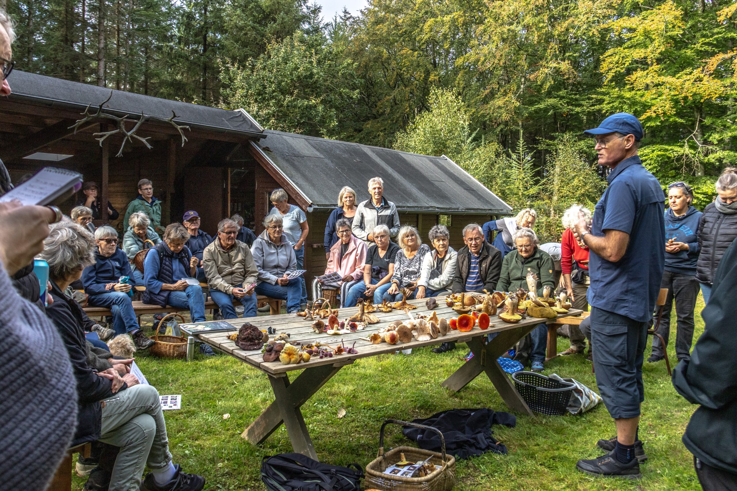 Vellykket svampetur i Brøndum – Hvidbjerg plantage
